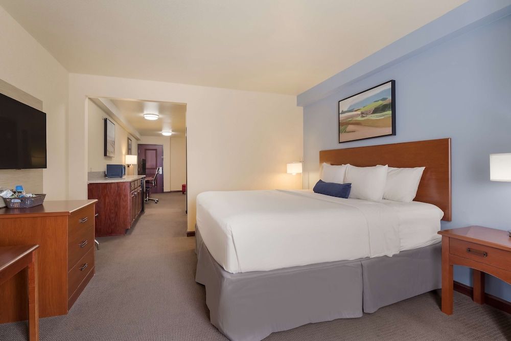Suite, 1 King Bed, Non Smoking, Refrigerator & Microwave (with Sofabed)