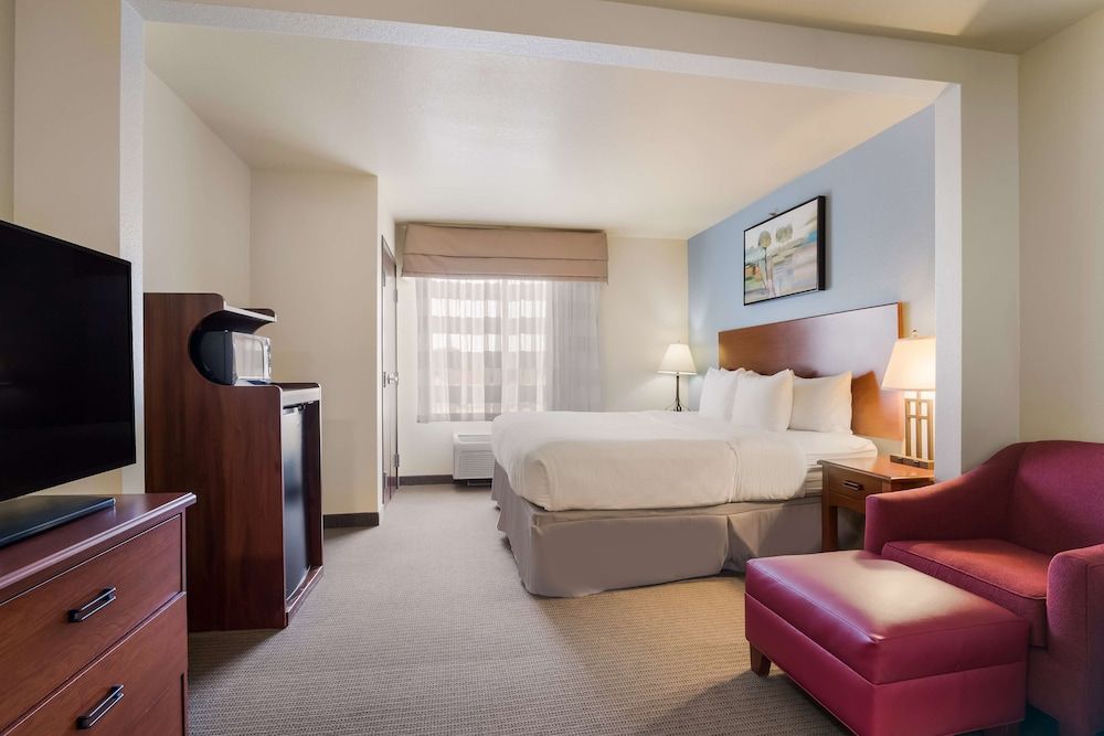 Standard Room, 1 King Bed, Non Smoking, Jetted Tub (Walk-in Shower)