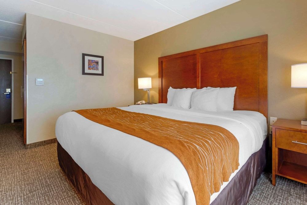Standard Room, 1 King Bed, Accessible, Non Smoking
