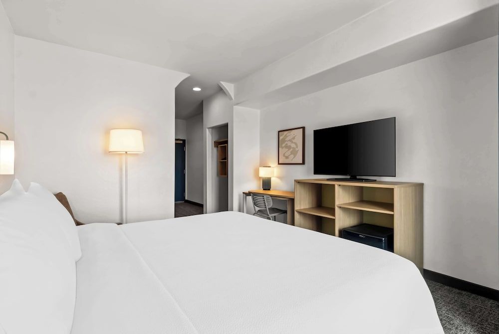 Room, 1 King Bed