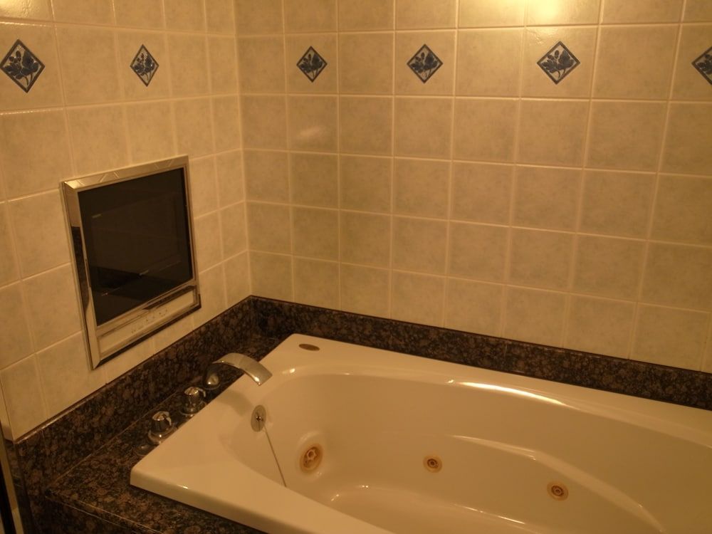 Hotel Alps 31sq m, Standard Double Room 6