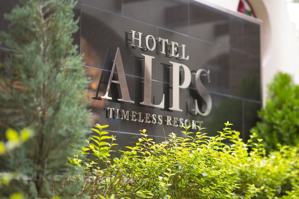 undefined Hotel Alps 4