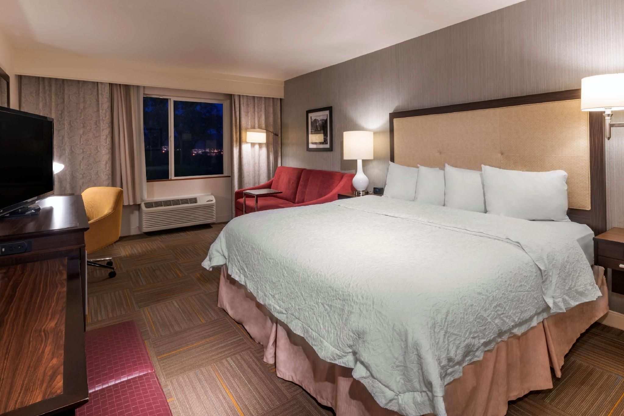 1 King Bed Deluxe Room W/ Sofabed Nonsmoking