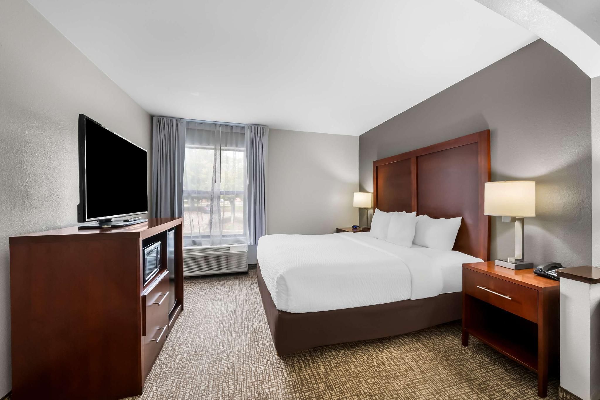 1 King Bed, Suite, Nonsmoking