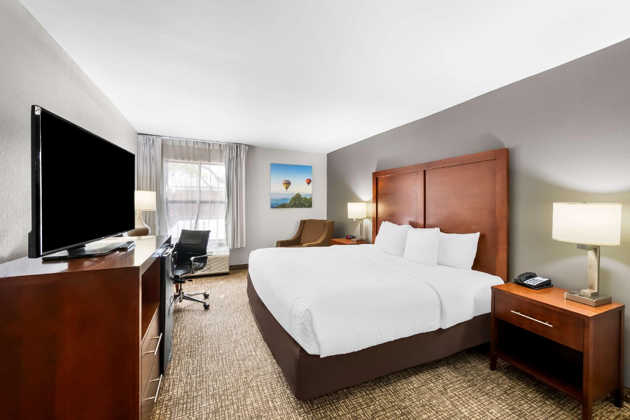1 King Bed, Nonsmoking, Accessible