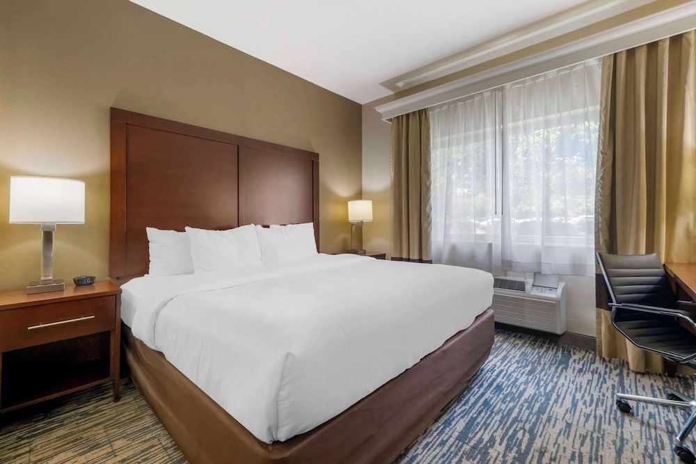 Suite, 1 King Bed with Sofa bed, Accessible, Non Smoking