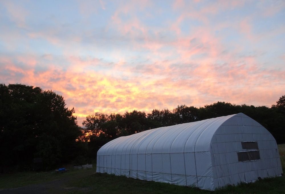 Land view from property