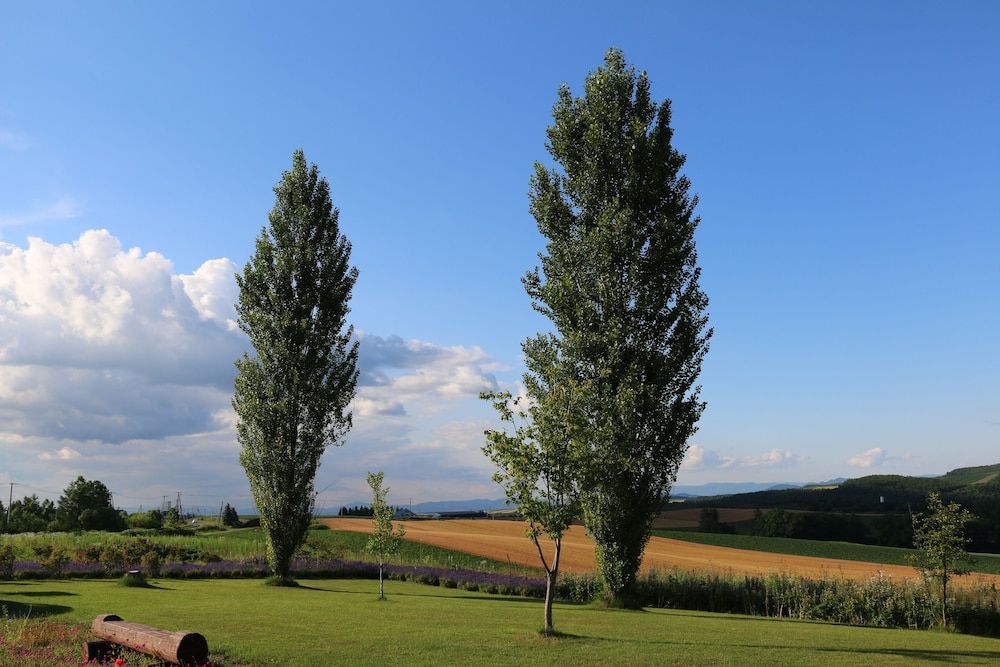 Land view from property