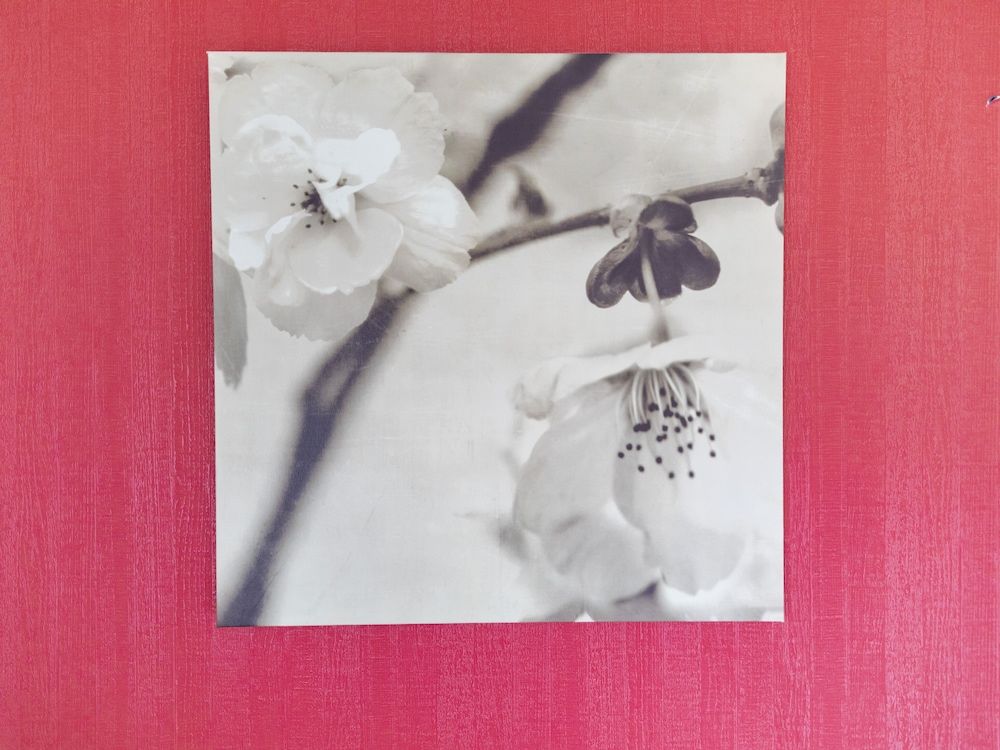 Sakura Guest House Family Room 8