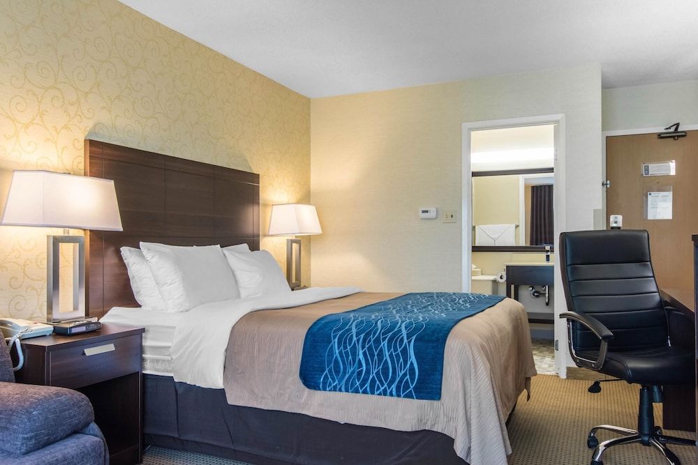 Room, 1 Queen Bed with Sofa bed, Non Smoking