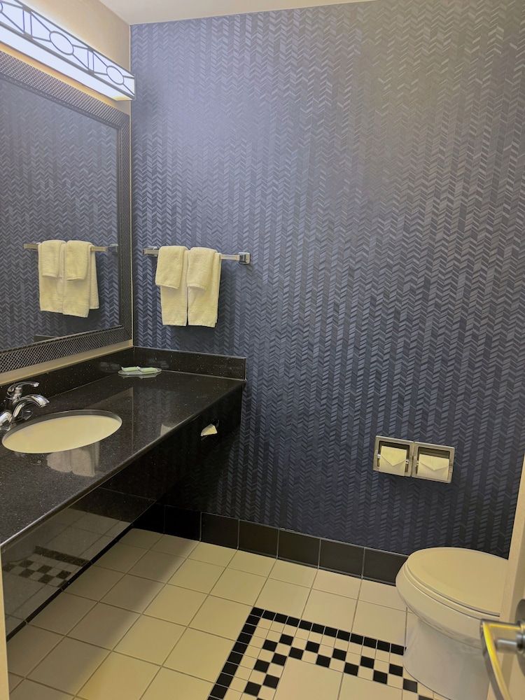 Suite, 1 King Bed with Sofa bed (Hearing Accessible)