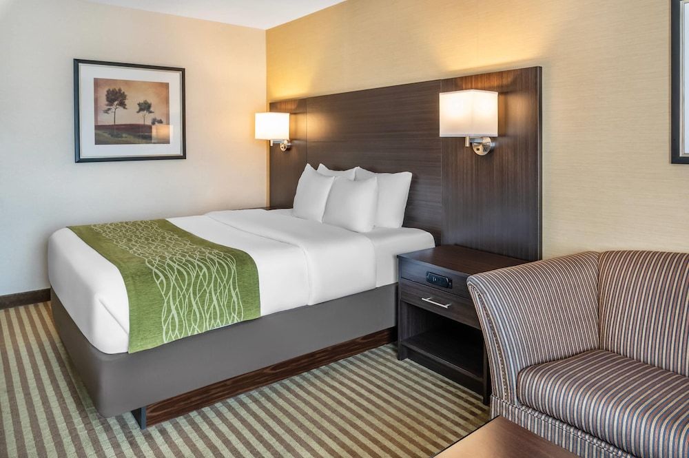 Comfort Care, Standard Room, 1 Queen Bed