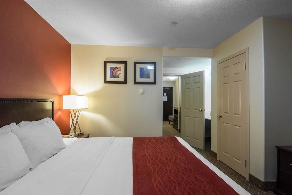 undefined Comfort Inn & Suites Airport South 8