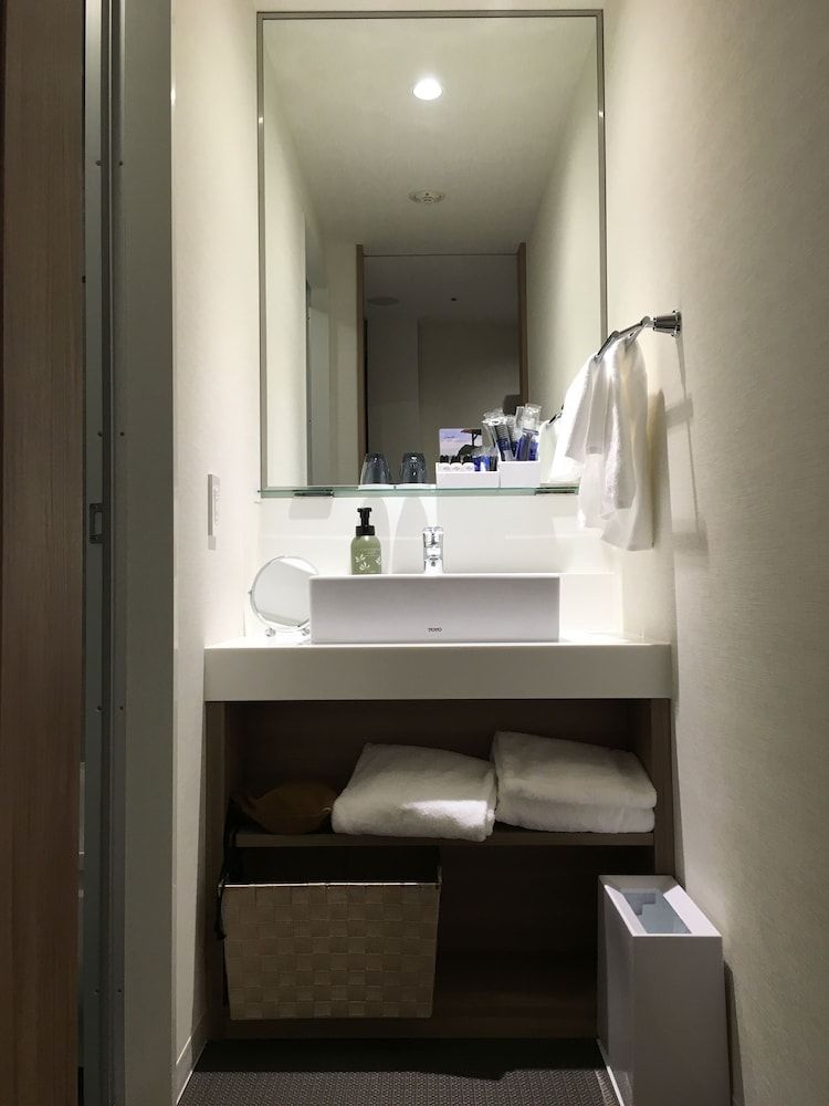 Nippon Seinenkan Hotel Deluxe Twin Room, Non Smoking 3