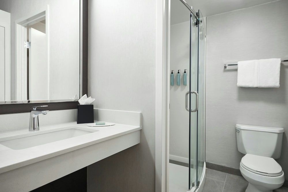 Room, 1 King Bed with Sofa bed (Mobility Accessible, Tub)