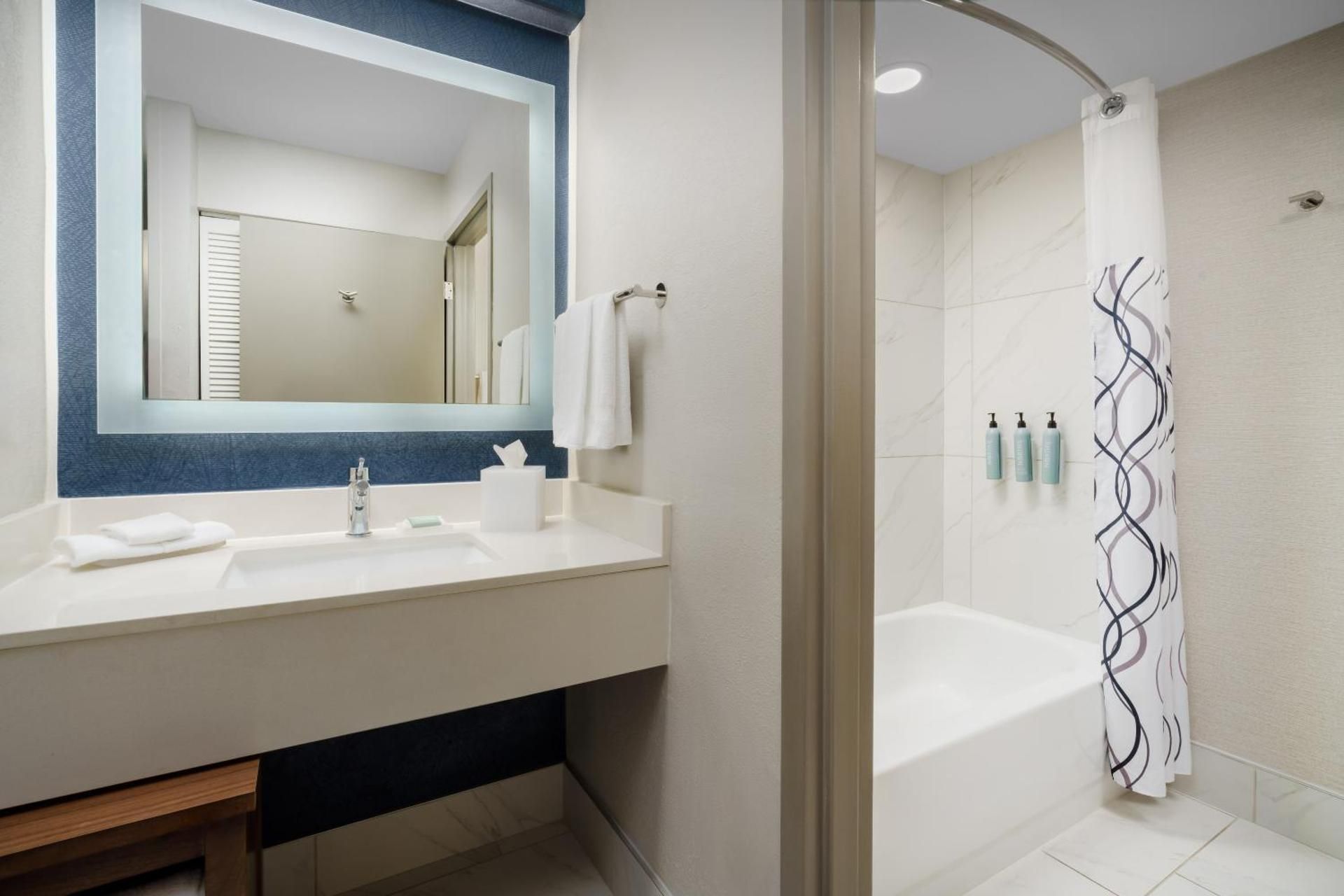 undefined Courtyard by Marriott Lake Buena Vista at Vista Centre 10