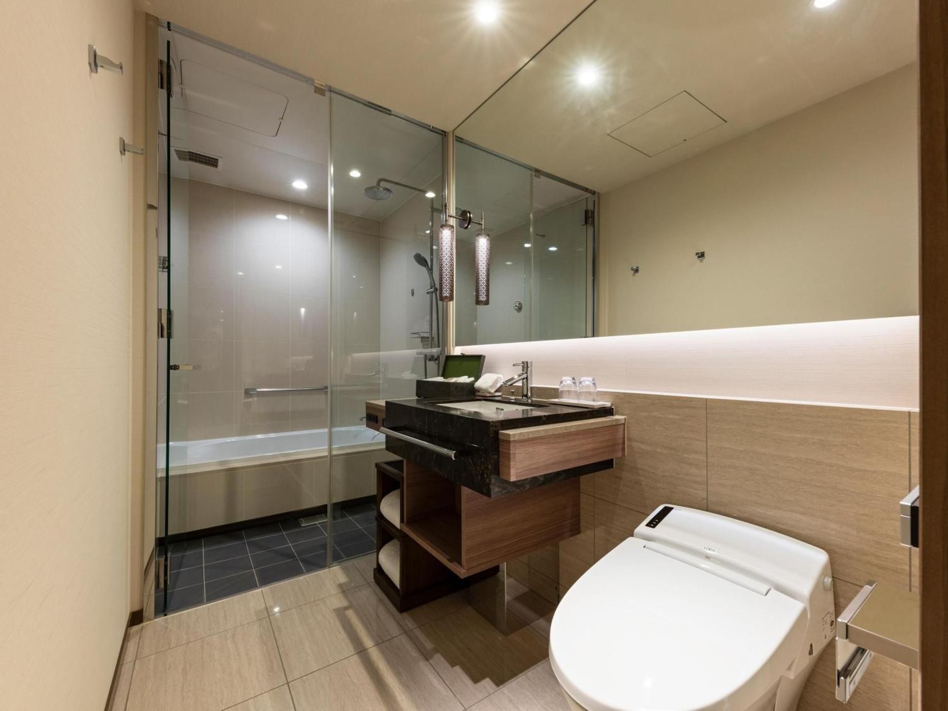 undefined HOTEL THE CELESTINE GINZA 6