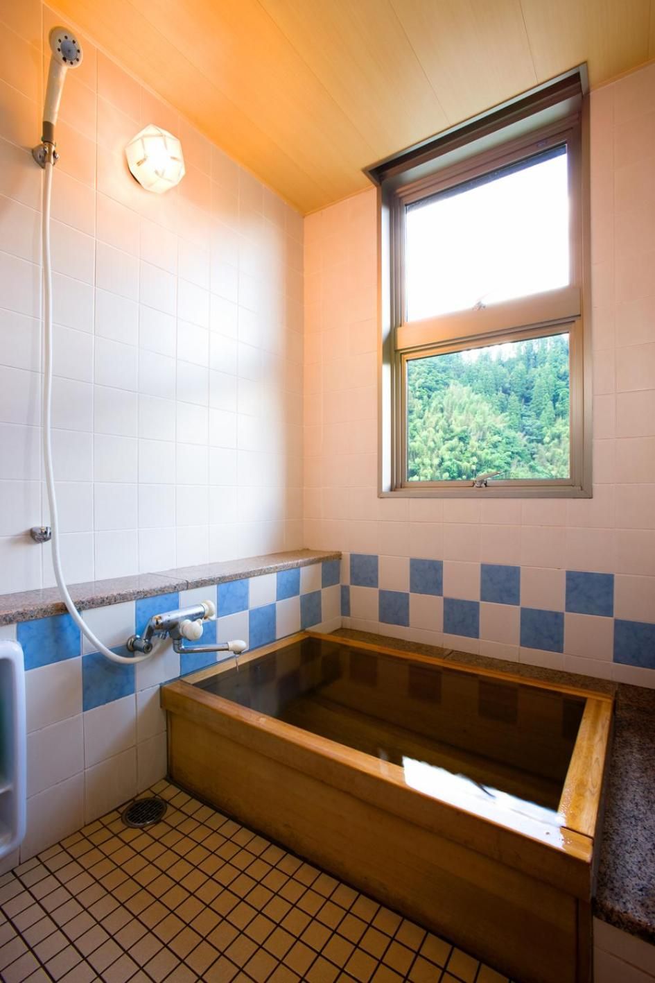 Superior Japanese-Style Room