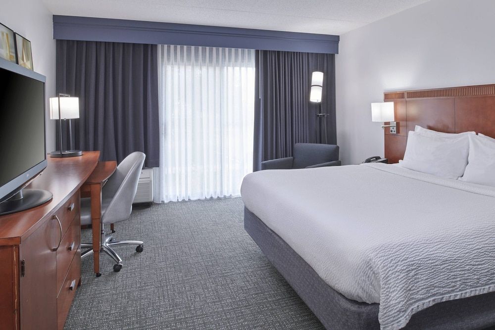 Room, 1 King Bed with Sofa bed