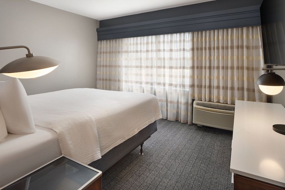 Suite, 1 King Bed with Sofa bed