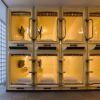 hotel_images