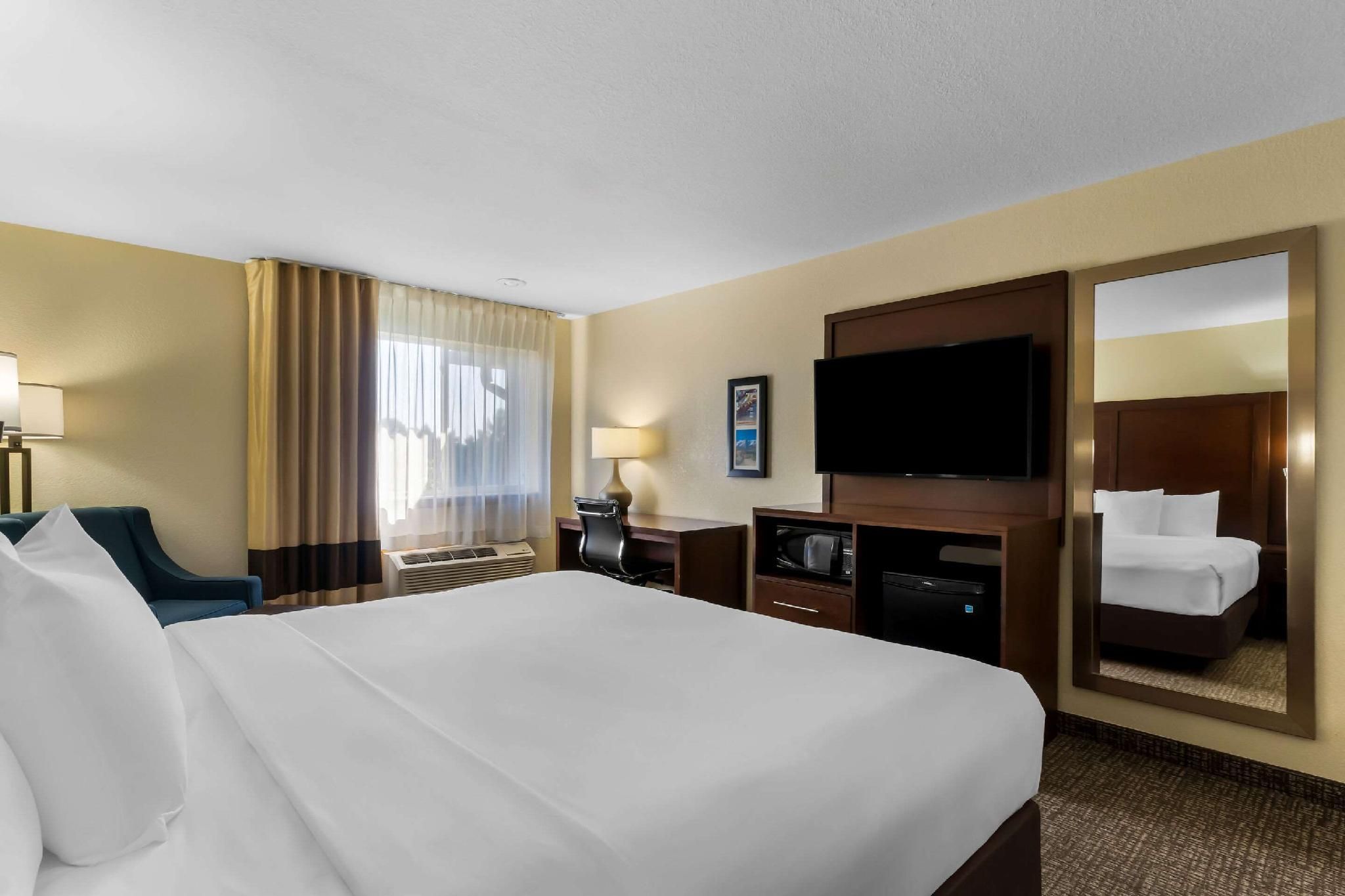 1 King Bed, Non-Smoking