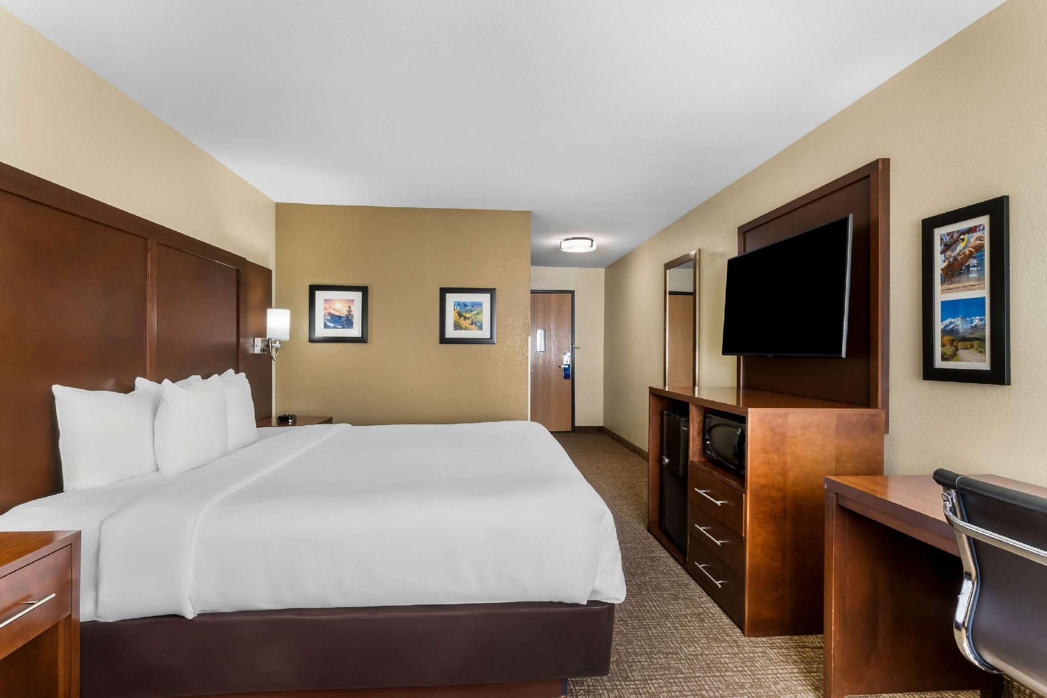 1 King Bed, Non-smoking, Accessible