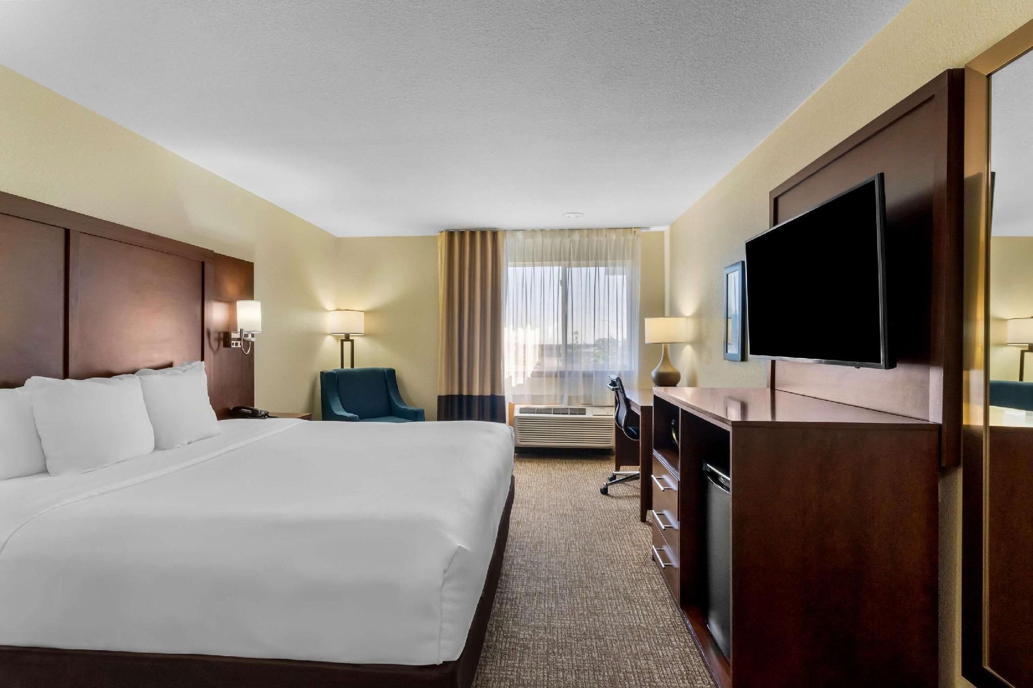 1 King Bed, Non-Smoking