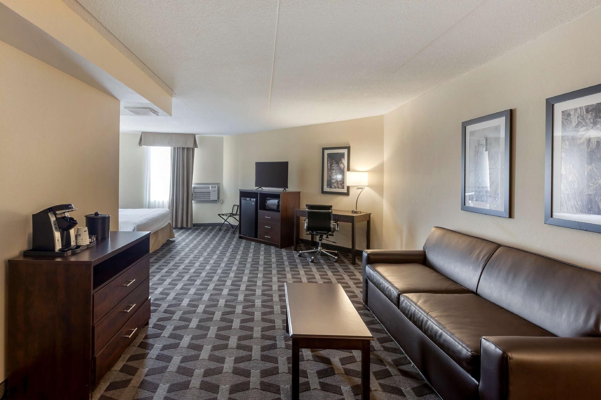 Suite - 1 King Bed, Nonsmoking, Sofabed