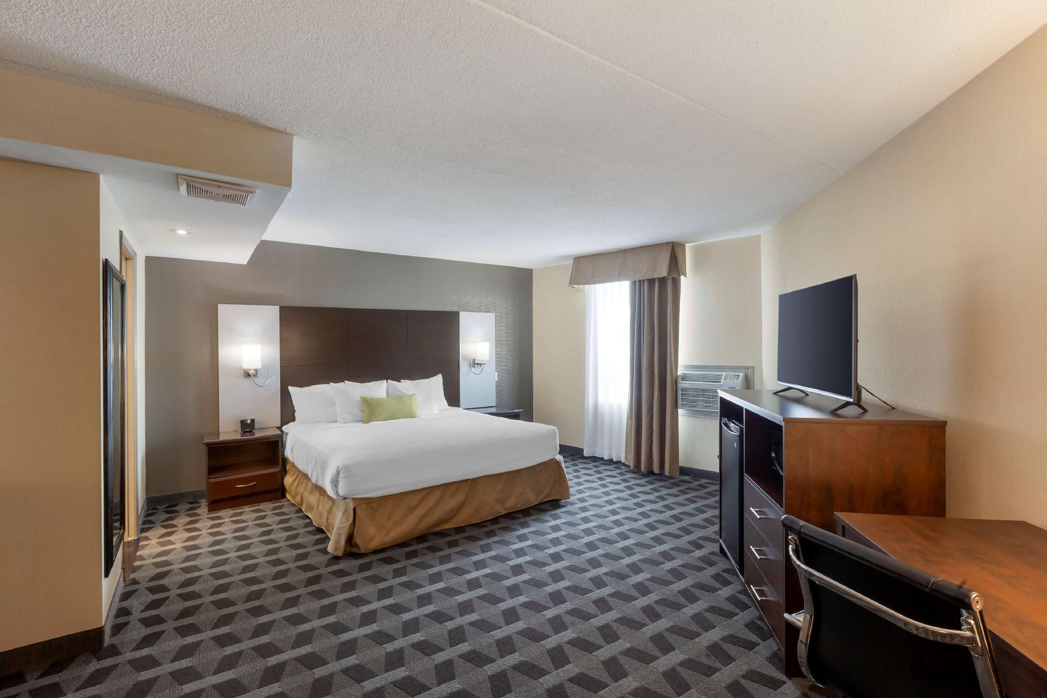 Suite - 1 King Bed, Nonsmoking, Sofabed