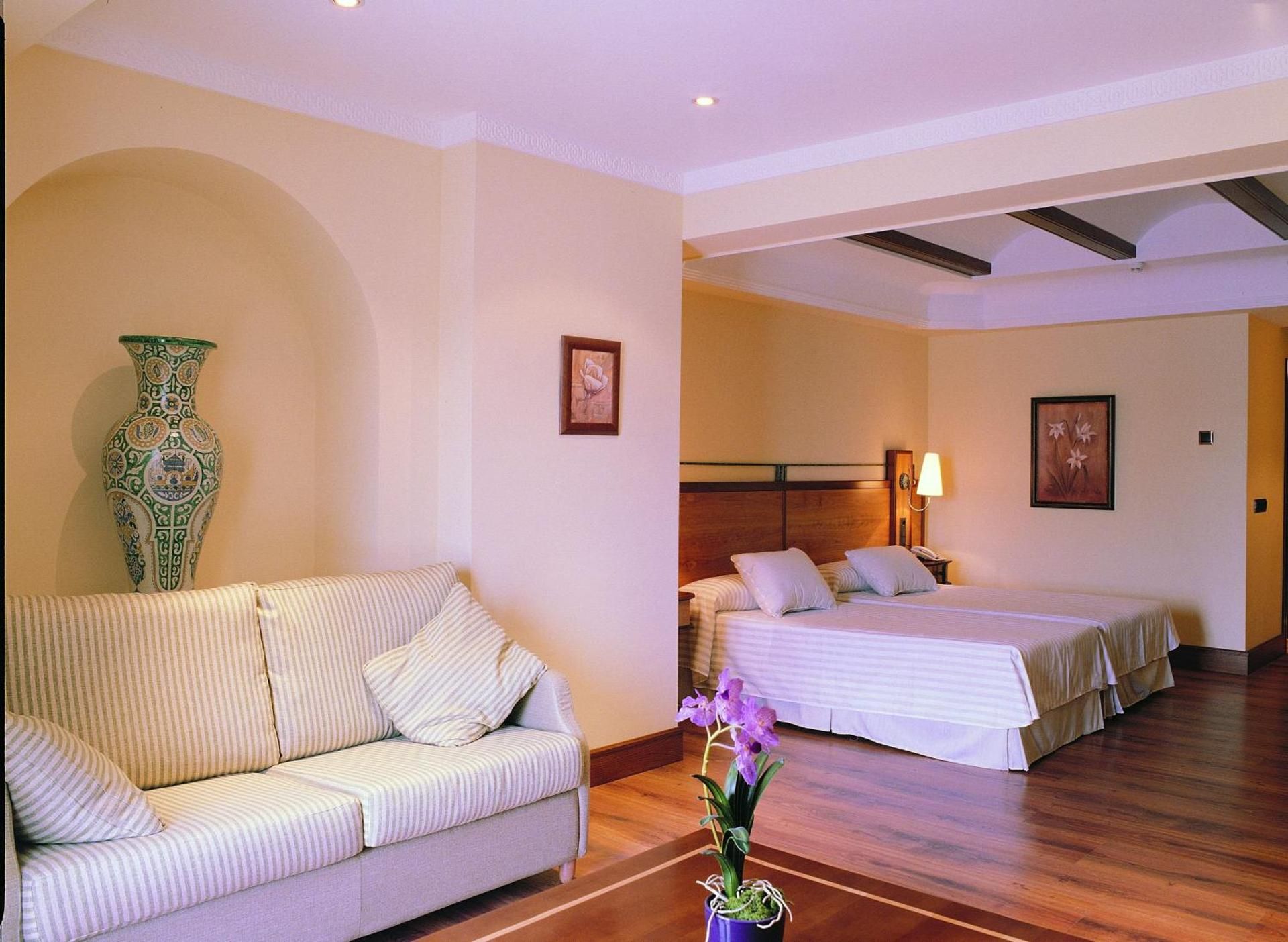 Hotel Abades Guadix Junior Suite 4
