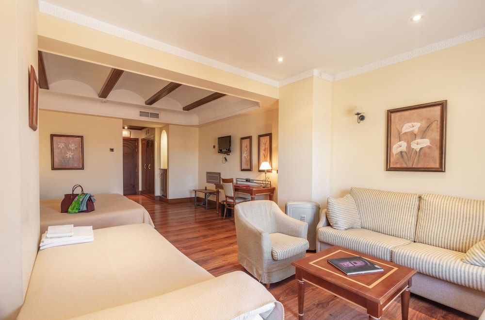 Hotel Abades Guadix Twin Room (Extra bed, 3 ADULTS) 8