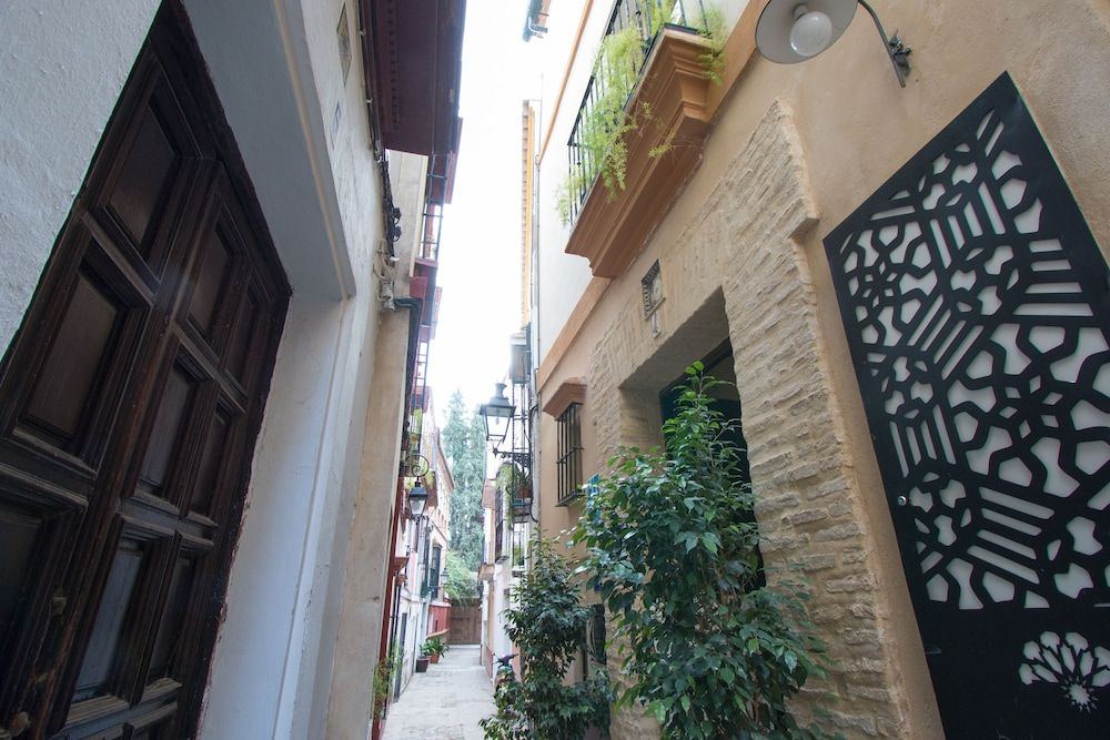 undefined Apartamentos Suites Santa Cruz 5