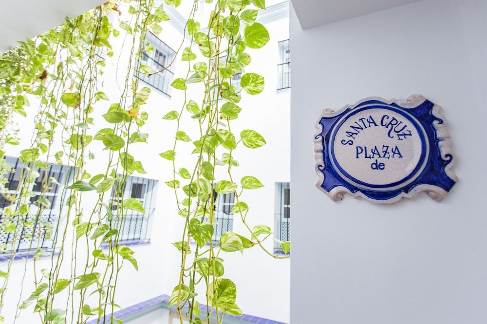 undefined Apartamentos Suites Santa Cruz 6