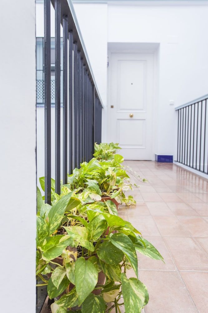 undefined Apartamentos Suites Santa Cruz 8