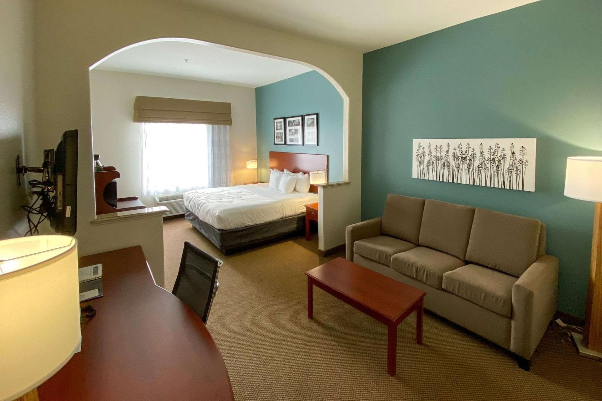1 King Bed, Suite, Nonsmoking
