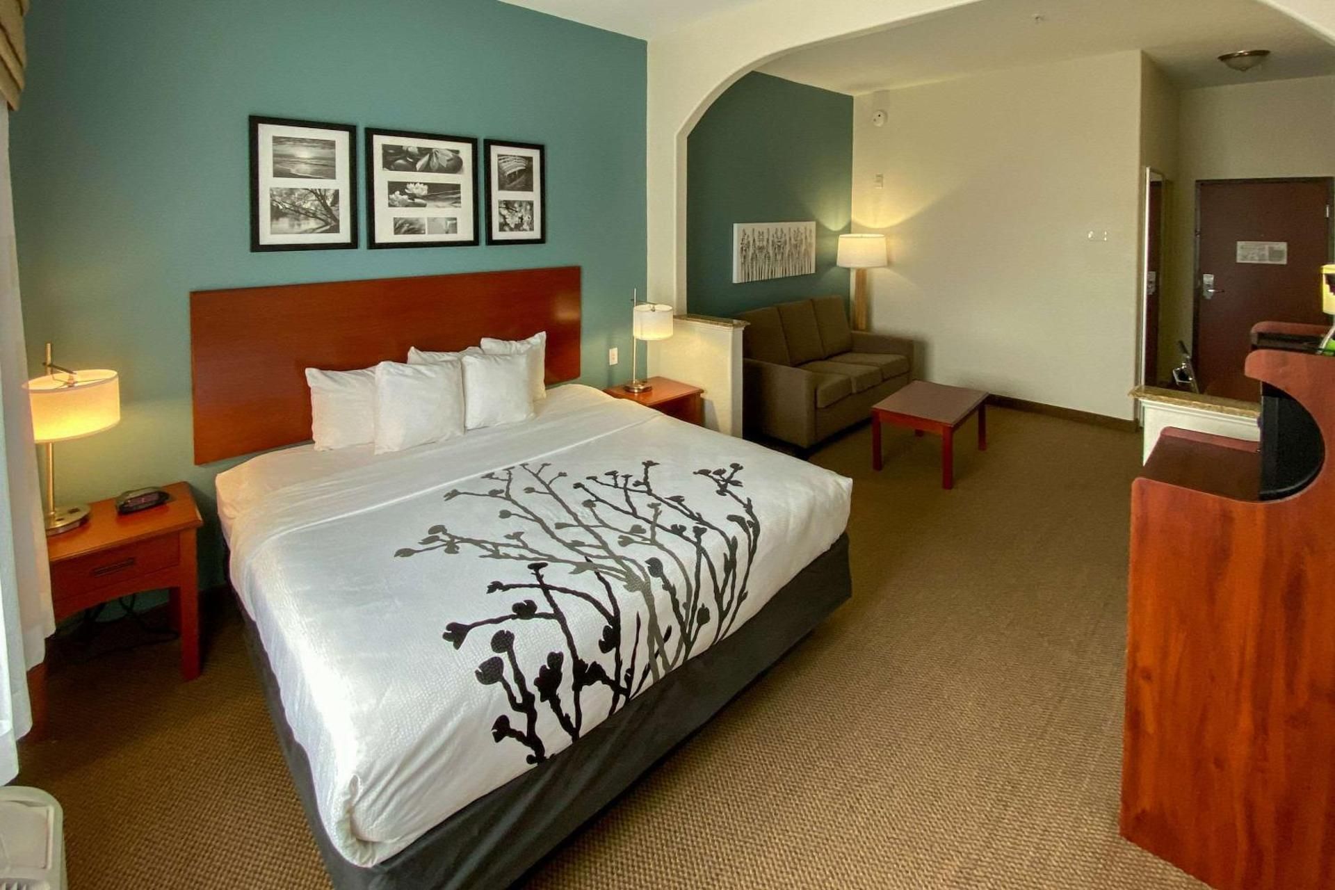 1 King Bed, Suite, Nonsmoking, Accessible