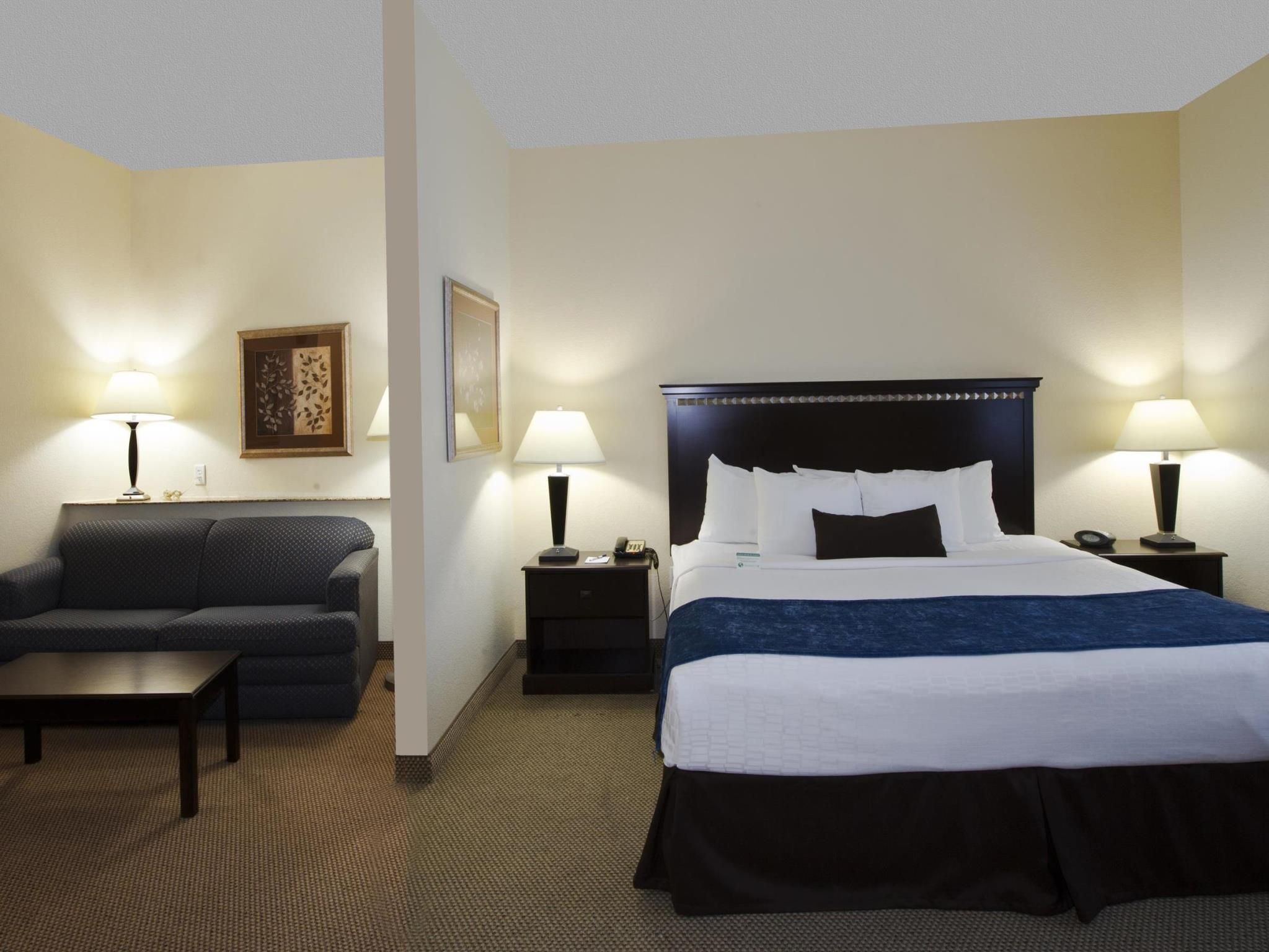 1 Bedroom King Suite