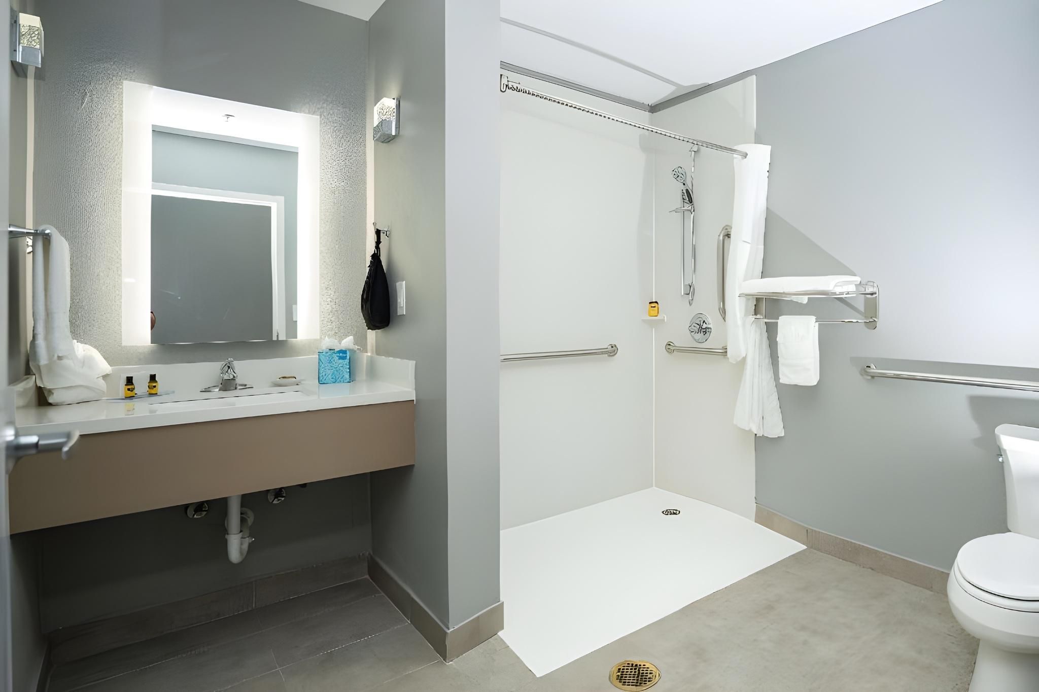 1 King Bed, Suite, Nonsmoking, Accessible