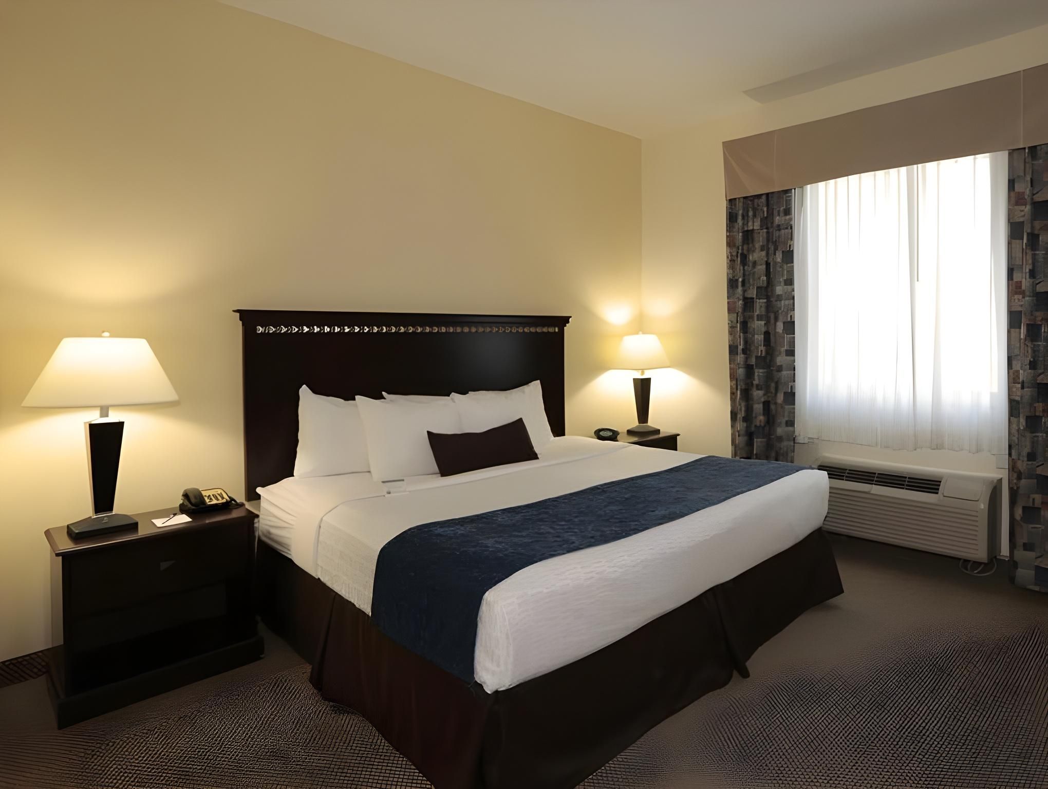 1 Bedroom King Suite