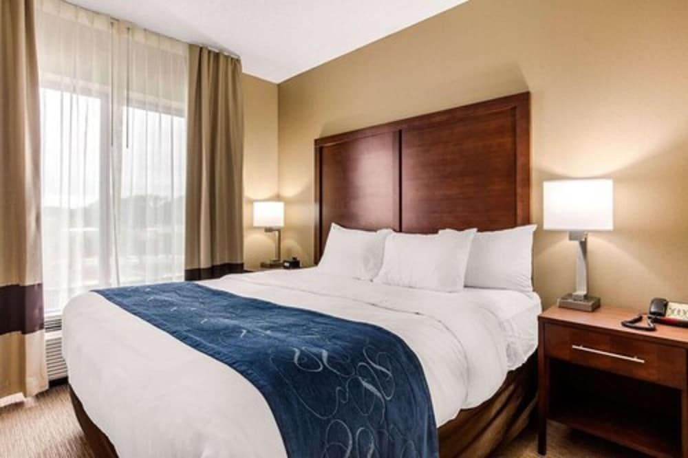 Suite, 1 King Bed with Sofa bed, Accessible, Non Smoking