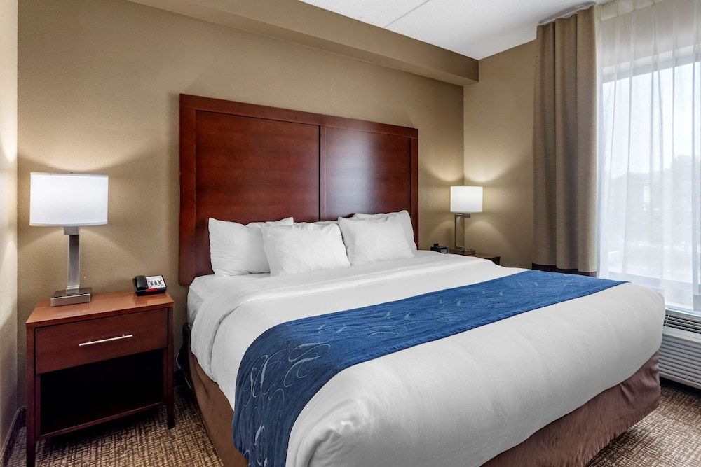 Suite, 1 King Bed with Sofa bed, Accessible, Non Smoking