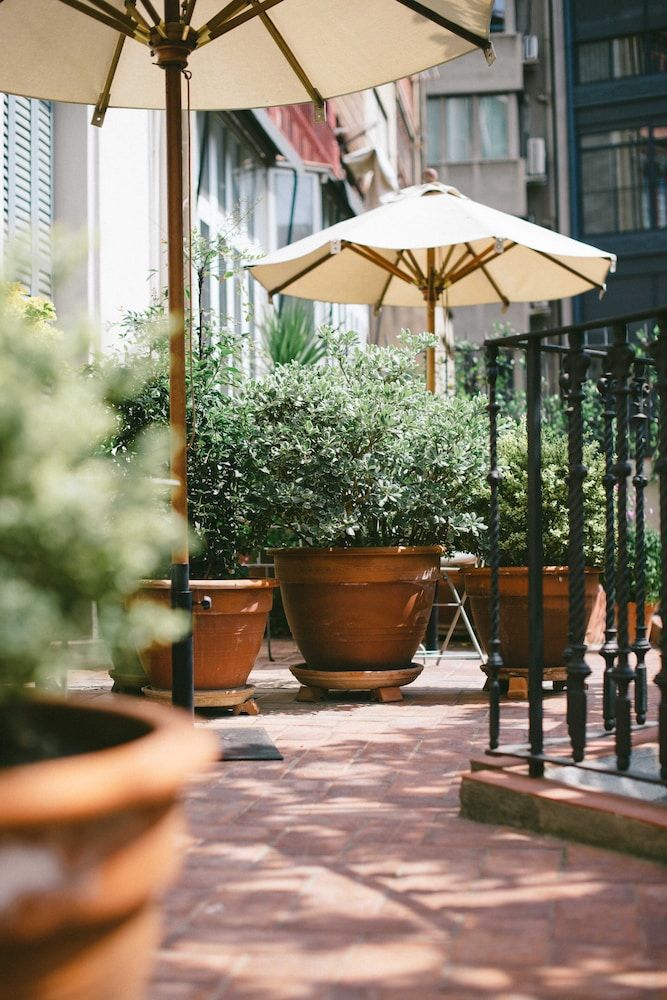 Circa 1905 Double Room, Terrace, Garden View (Mallorca) 7