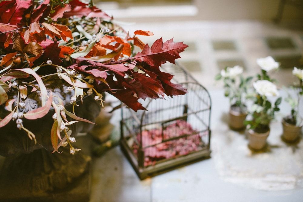 undefined Circa 1905 5