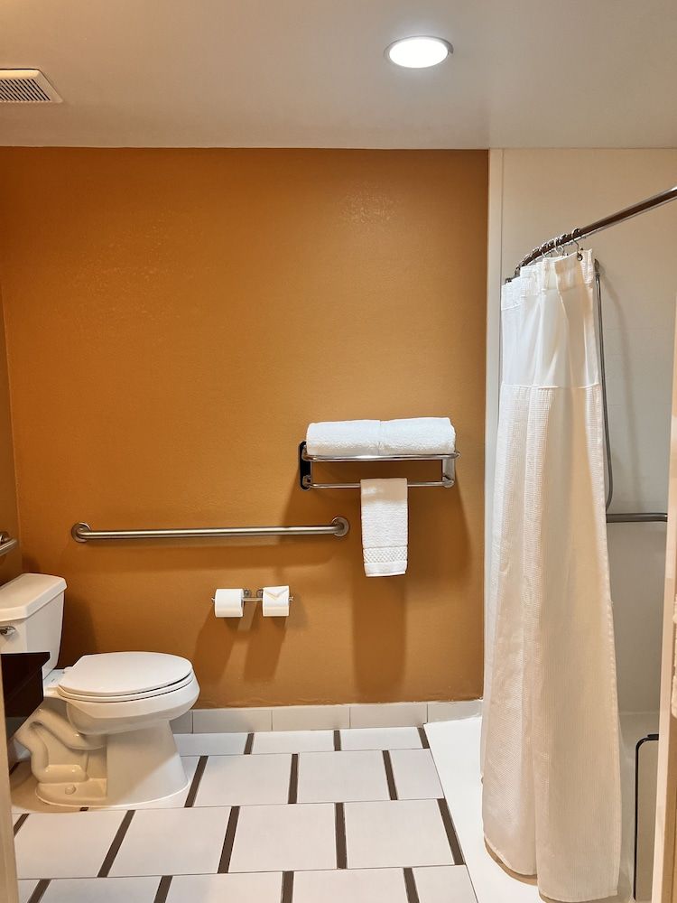 Room, 1 King Bed (Mobility/Hearing Access, Roll-In Shwr)