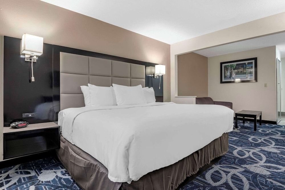 Suite, 1 King Bed with Sofa bed, Non Smoking