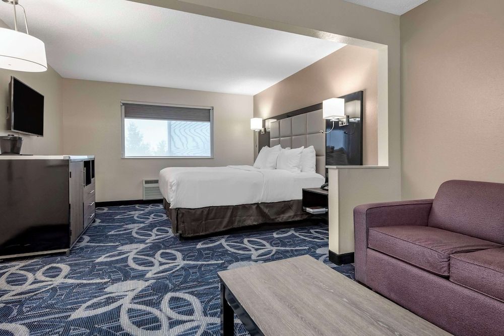 Suite, 1 King Bed with Sofa bed, Non Smoking