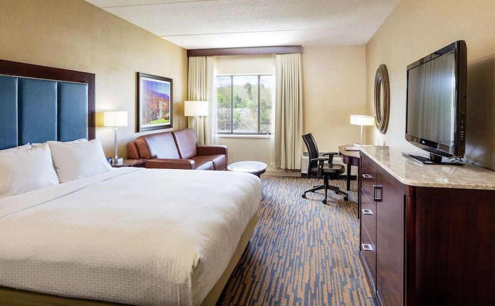 Room, 1 King Bed with Sofa bed