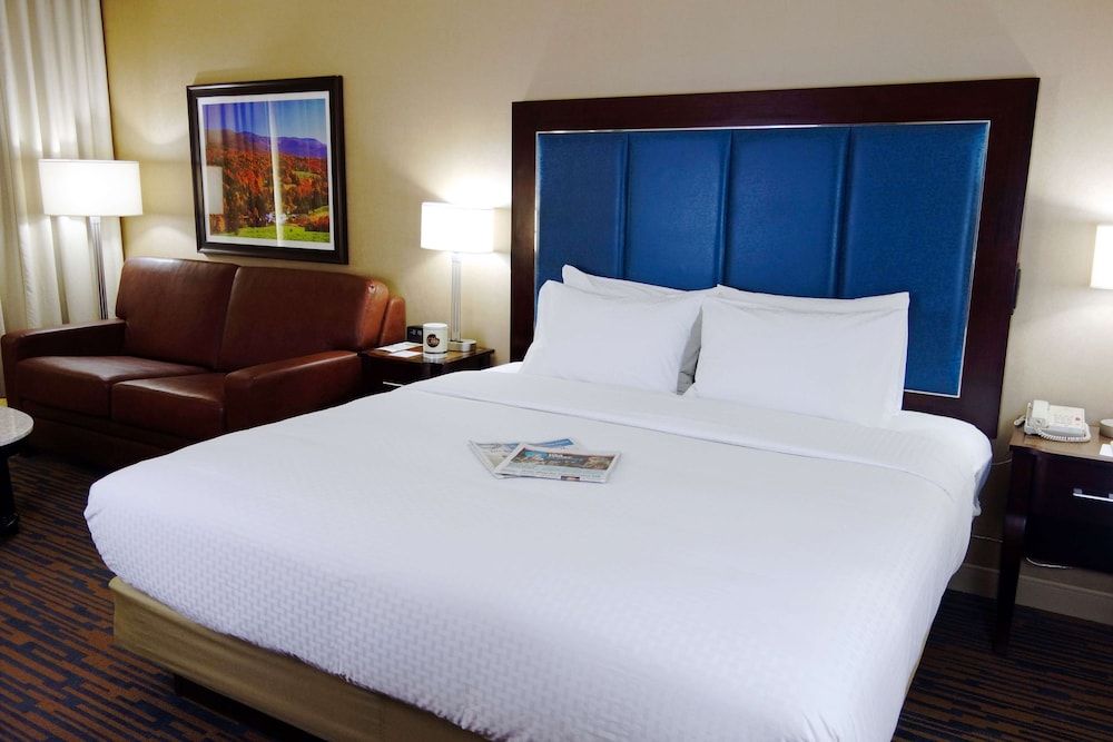 Room, 1 King Bed with Sofa bed