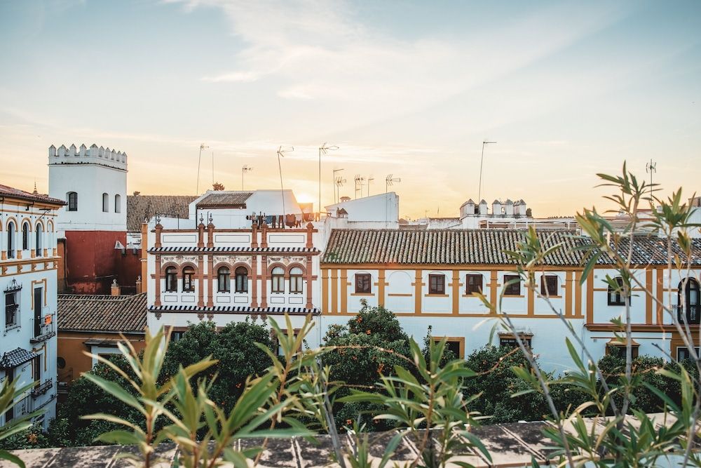 undefined Hotel Boutique Elvira Plaza 6